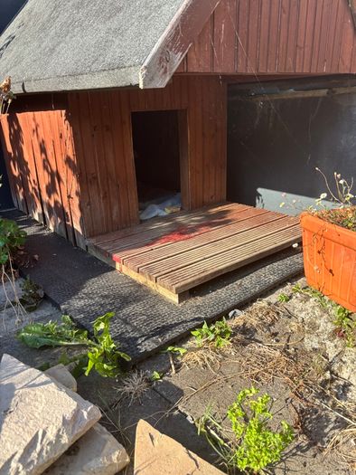 Dog Kennel
