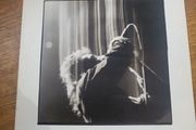 U2 Wide Awake In America Album