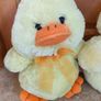 Easter Chicks Image 3
