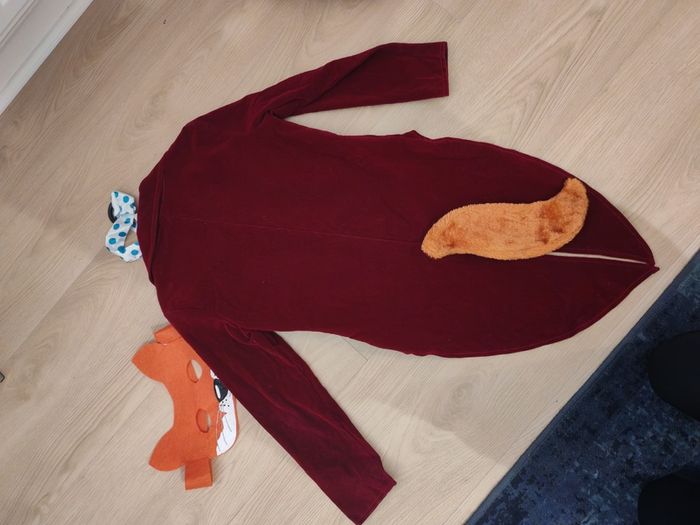 Halloween costumes  Mr Fox