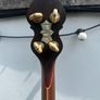 Lucci Sinfonico Style 2 Tenor banjo Image 6