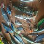 Fishing lures pike perch Image 2