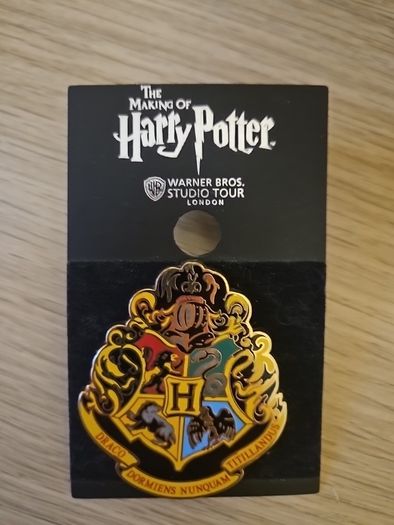 Harry Potter pin