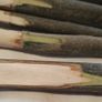 Handmade 10 Wooden Plant Labels (26011) Image 2