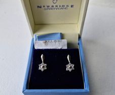 Newbridge earrings