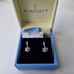 Newbridge earrings