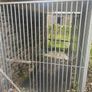 Dog Kennel and Cage Image 4