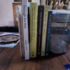Irish folklore and history 6 book set