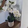 Artifical plant Orchid Image 2
