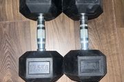 17.5kg Hex Dumbbells