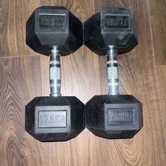 17.5kg Hex Dumbbells