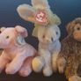 Collection of Beanie Babies Image 5