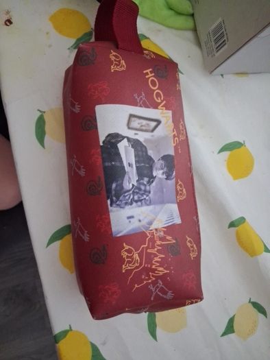 Harry potter pensil case