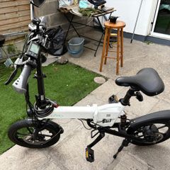 Electric Bike Fido