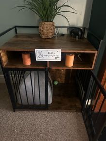 dog house