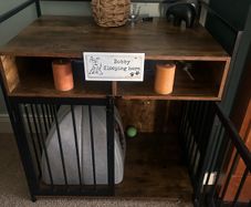 dog house