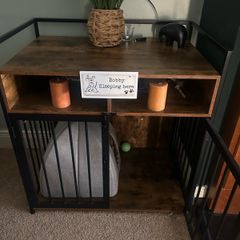 dog house