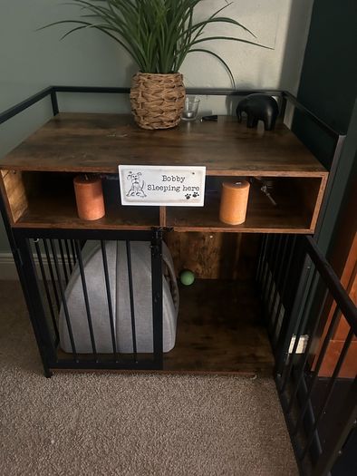 dog house