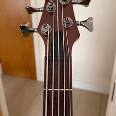 Ibanez SDGR