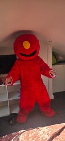 children's entertainment costume