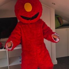 children's entertainment costume