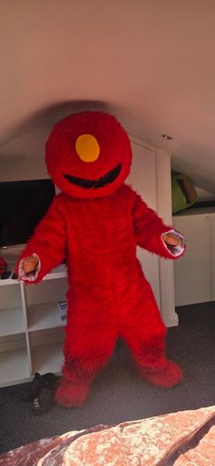 children's entertainment costume