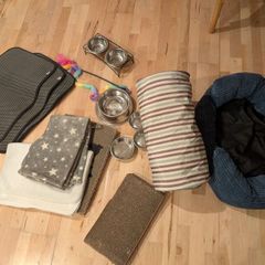 cat accessories