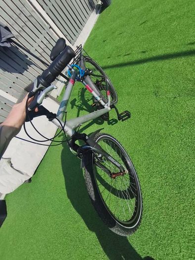 Raleigh AT100 freeride
