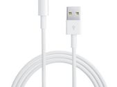 Apple Sync & Charger USB Data Cable For iPhone 6 5 iPad Mini iPad 4 ::: 2M