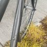 Giant  28" Large mountain/road bike Image 4