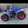 quad Image 4