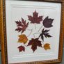 Framed Leaves Image 8