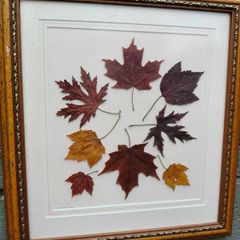 Framed Leaves