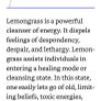 Essential Oil - Lemongrass 2ml Image 10