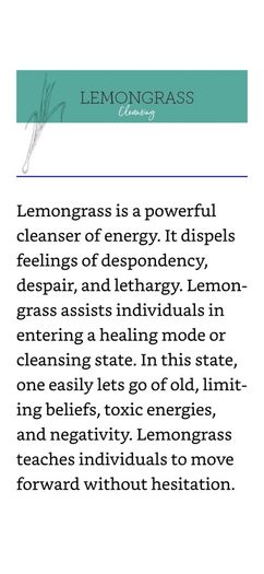 Essential Oil - Lemongrass 2ml