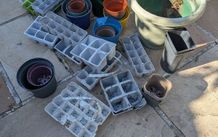 plastic plant pots