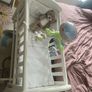 baby crib/ cot Image 2