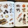 Larousse Gastronomique Encyclopedia Image 8