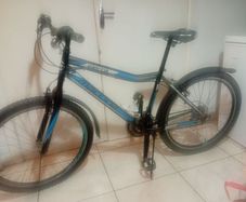 Mens Sierra Mountain Bike