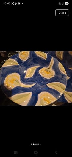 Large Serving dish /2 smaller ones