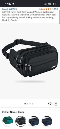 fanny pack