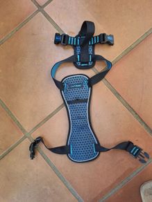 car safe dog harness