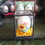 Hand Painted eggs in Cases Image 2