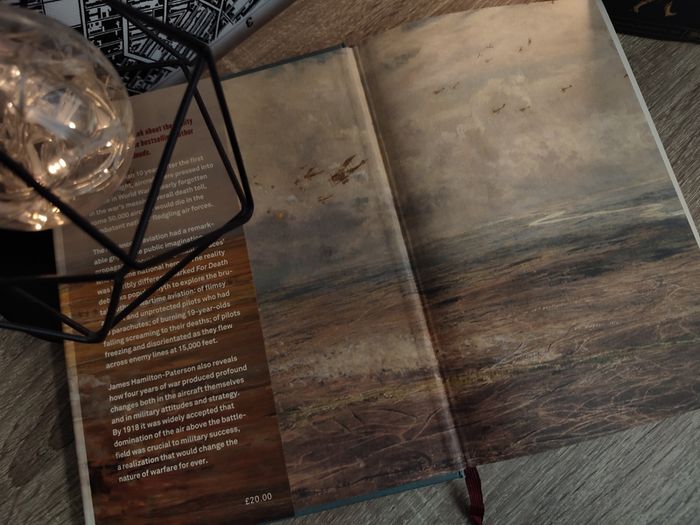 Marked for Death ! The First War In The Air ! Hardcover ! 2015 by Head of Zeus ! WW! ! World War ! !