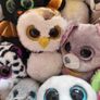 Beanie Boo - selection of 21 loved Beanie Boo some with tags Image 4