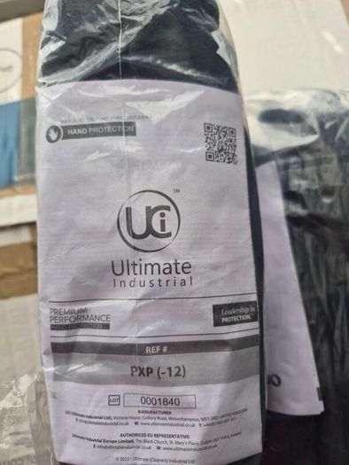 gloves  10 pack