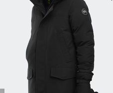 canada goose
