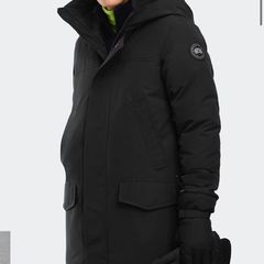 canada goose