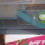 Hamster Cage Image 4