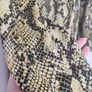 Karen Millen dress Image 6